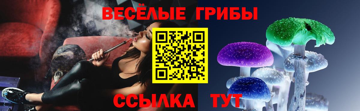 Галлюциногенные грибы MAGIC MUSHROOMS  Вход с VPN  Краснокаменск  наркотики  Псилоцибиновые грибы Psilocybe 